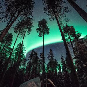 国产中文高清三级
